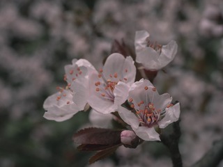 9A08DF5E-58D1-41A8-96FB-93C44DEEA1F7/L0/001