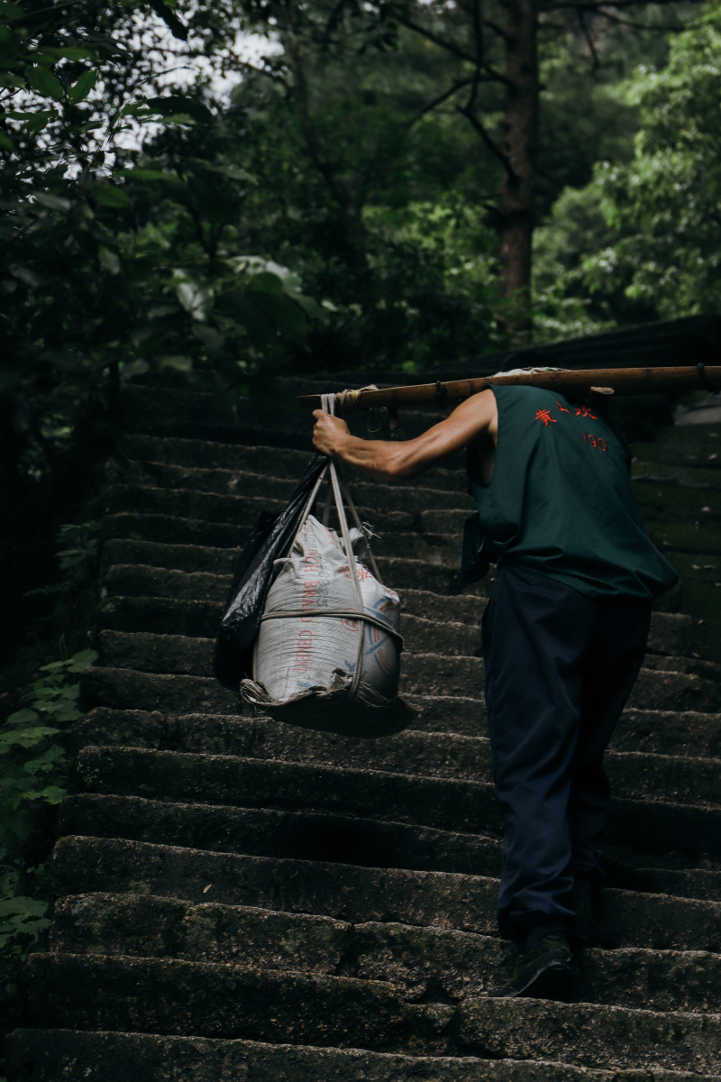 黄山上的挑山工