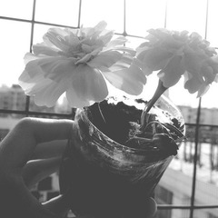 201105153197_副本.jpg