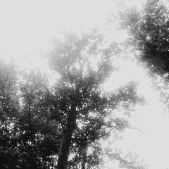 201107166878_副本.jpg