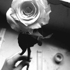 201106095001_副本=.jpg