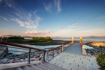 小白兔