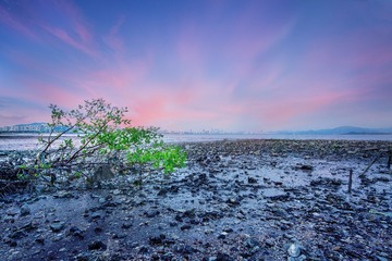 IMG_8771-编辑