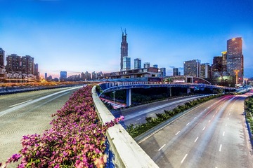 IMG_2598-编辑-3