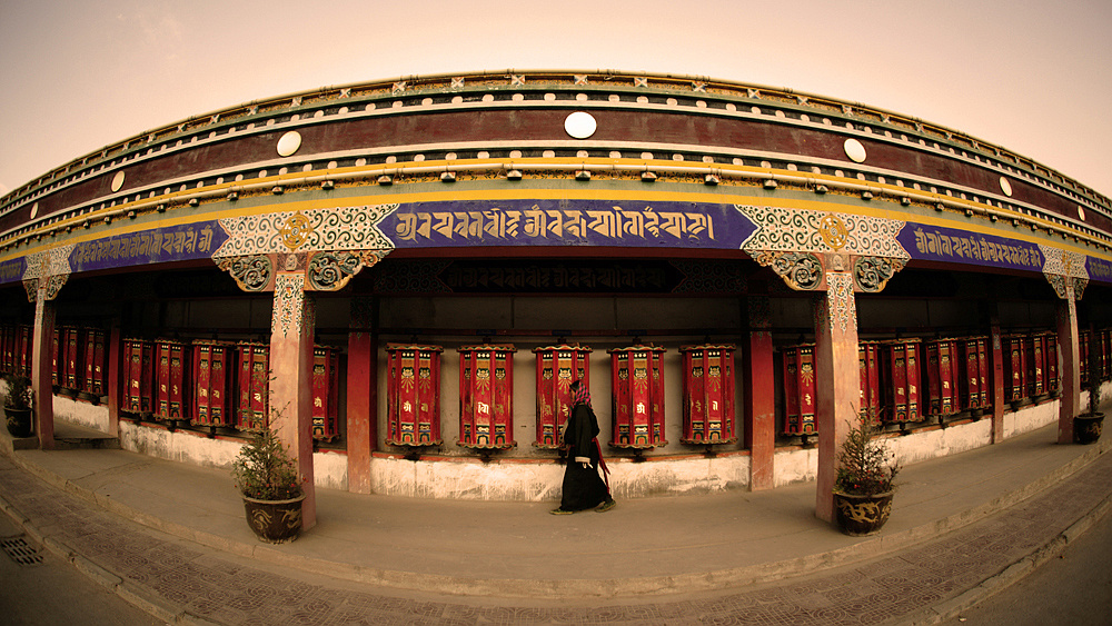 圆梦- 赞巴拉 - 图虫网 - 优质摄影师交流社区