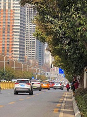 53A04C37-84C0-492F-B8DF-3E80115AB8DE/L0/001
