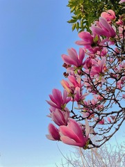 E0D84956-B948-467B-9B54-E9A8702FD644/L0/001