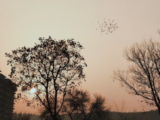 3098792