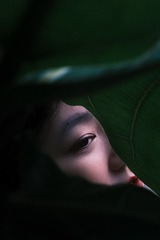 DA0C39EB-8681-43F9-B491-55B8BA8ECA1E/L0/001