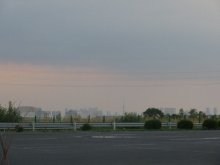 43811