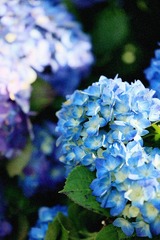 779F3B57-B310-47CD-A5AD-1B5B4C3007EA/L0/001