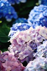 D4034A4C-5E91-45D3-8EFC-2B1E2C90EC12/L0/001