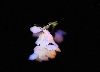 9EF921D8-823A-4826-B6A2-1D185393B7D9/L0/001