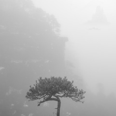 54B0BDF1-F365-4C4C-8A85-DC3B62CD1AE2/L0/001