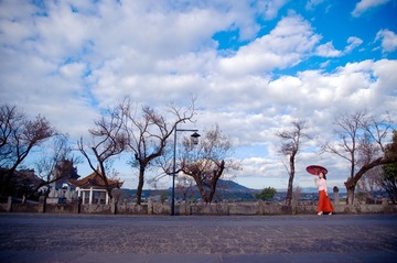 DSC_1207DSC_1207