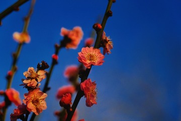 502B25CB-BCD4-4A9C-B3B6-7648D0DBD554/L0/001