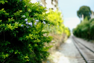 9316D952-2812-4944-AD12-9D1A53E60D1B/L0/001