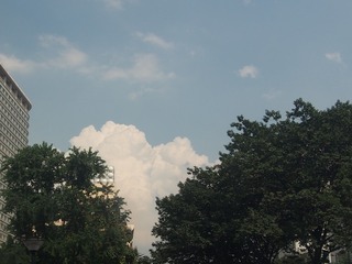 51908F92-94DC-4343-8144-5C393F64416B/L0/001