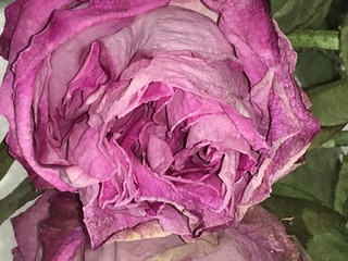 13511AB1-0998-4D57-86F3-3659B44D4BD7/L0/001