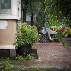 _HZW1384