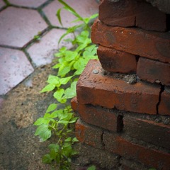 _HZW1382