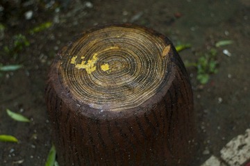 _HZW1369