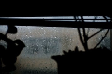 _HZW1280