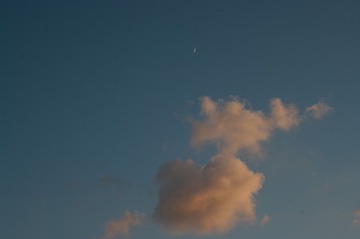 YING0966-1.jpg