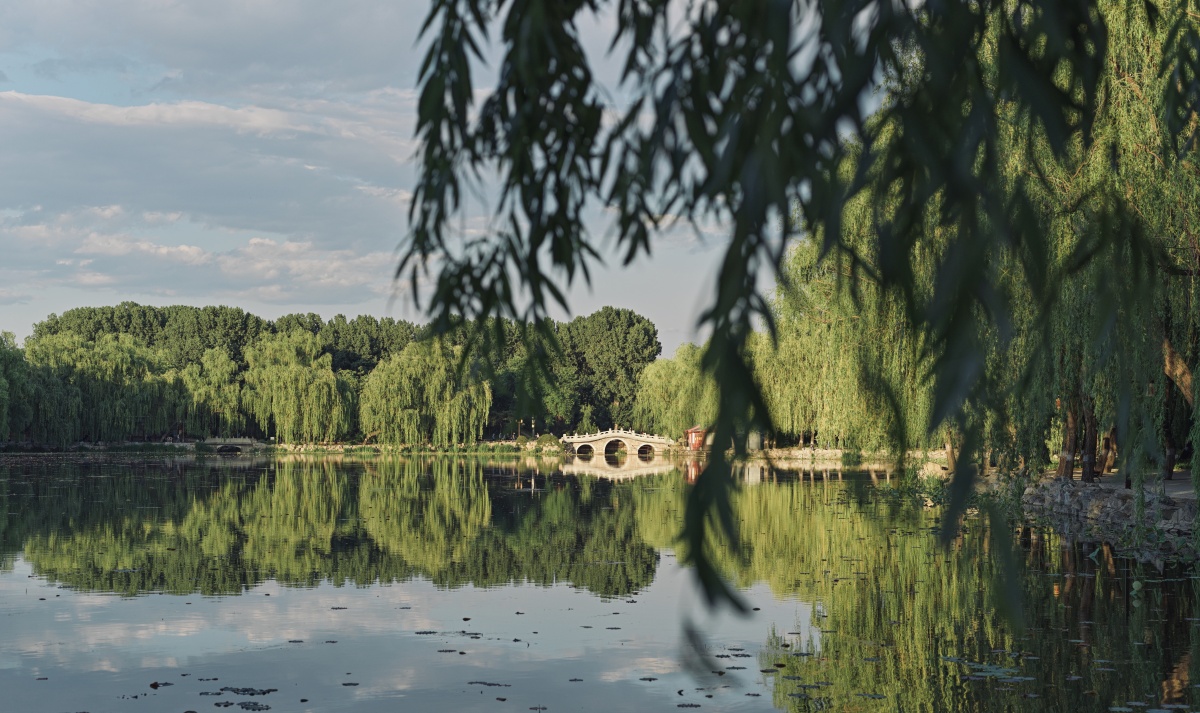 圆明园随拍,最近北京天气真好,出门也能有好心情.