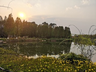 1047843