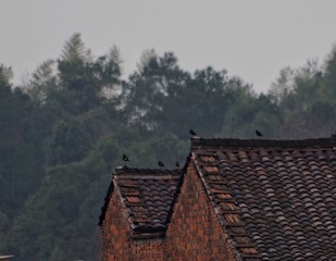 12C14675-CDEB-4DCD-9337-D53C57499CC6/L0/001