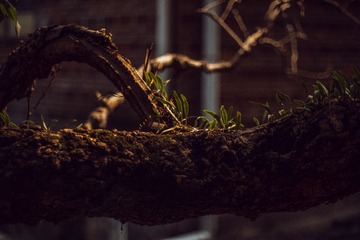 004D0246-51AF-4309-9C16-C6AE5AC272D1/L0/001