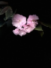 9781E28F-65C8-482A-9E69-2BA703C3357A/L0/001