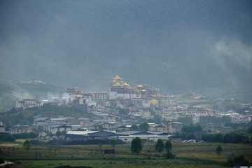 DSCF8325