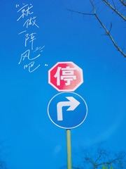 F870FBD7-FC98-4CE2-923F-CF4408AE7842/L0/001