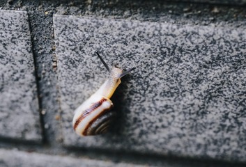 C9F214DF-4858-4F25-922F-51E737835280/L0/001