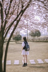 E71CCE88-D2A9-4190-A6AF-2D6CCD02E19E/L0/001