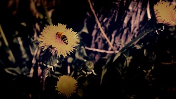 8CD1991D-22B8-4D39-A0AC-9C8CFC67265B/L0/001