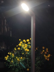 1000057686
