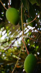 DSC03024_副本.jpg