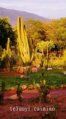 DSC03497_副本.jpg