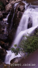 DSC03125_副本.jpg