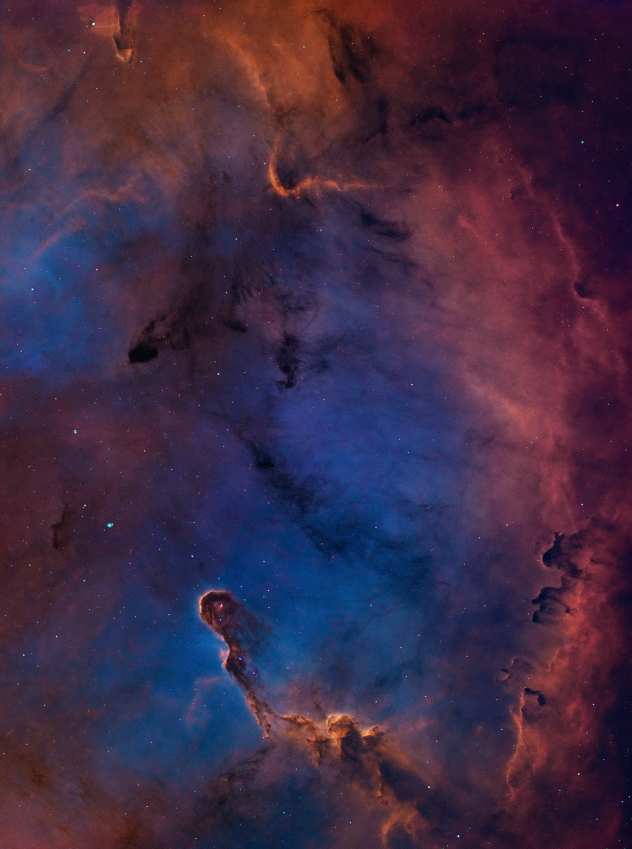 仙王座│象鼻星云