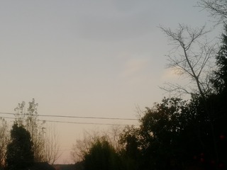 2783002