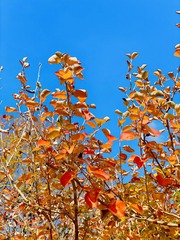 D27C54E6-E9E8-469A-8C5F-BD3CC15BE3DC/L0/001