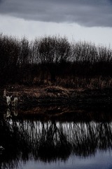 C8066DF6-FDCE-4AC2-8007-0F1E20019F49/L0/001