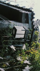 43080BDA-F9EC-472A-A2E8-6E4AA951DD34/L0/001