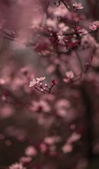 8273458A-8FAE-4A8D-A2A9-5FB9AEA9267C/L0/001
