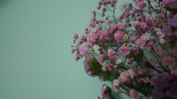 F96045D1-0D62-421F-AF88-EDE3EB278747/L0/001