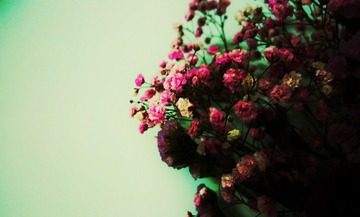 076B9BA0-A97D-494A-B54C-B4AF5AC290D8/L0/001